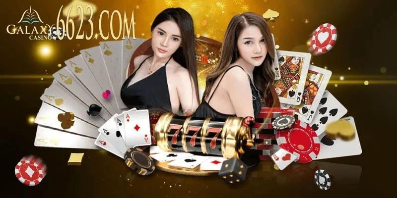 Dịch vụ chăm sóc khách hàng chuyên nghiệp