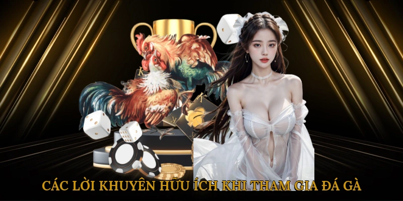 Các lời khuyên hữu ích khi tham gia đá gà trực tiếp Thomo
