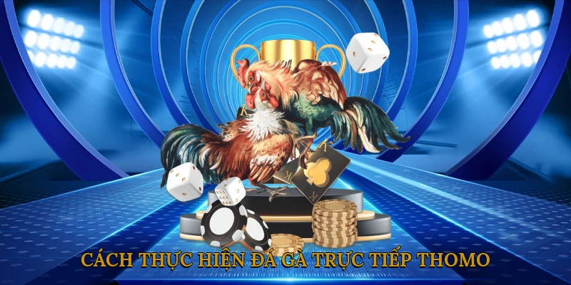 Cách thực hiện đá gà trực tiếp Thomo