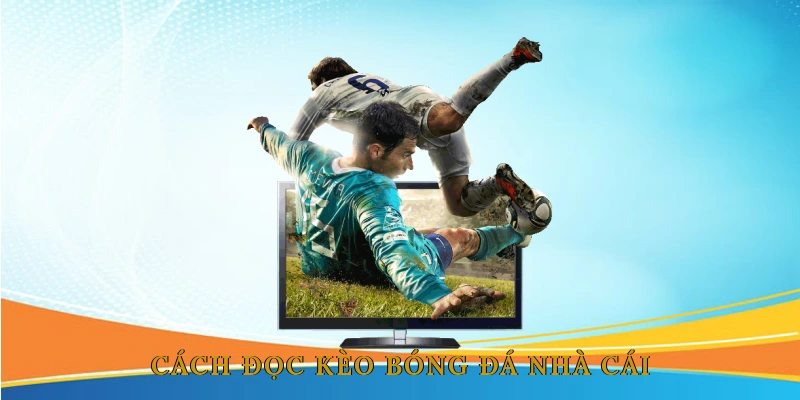 Cách đọc kèo bóng đá nhà cái