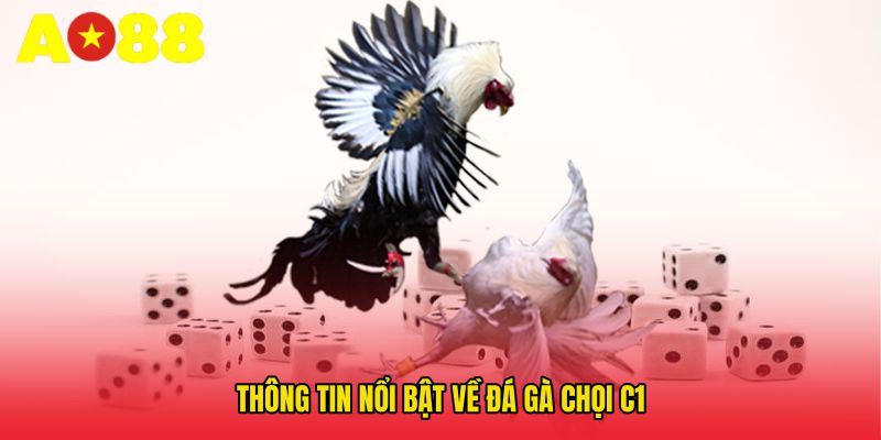 Thông tin nổi bật về Đá gà chọi C1